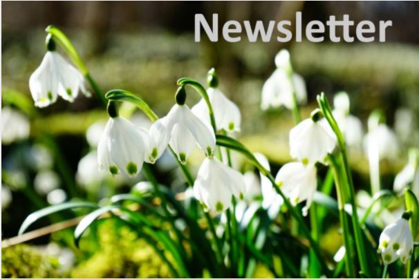 Newsletter März 2022